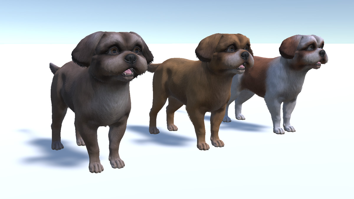 Dog - Shih Tzu