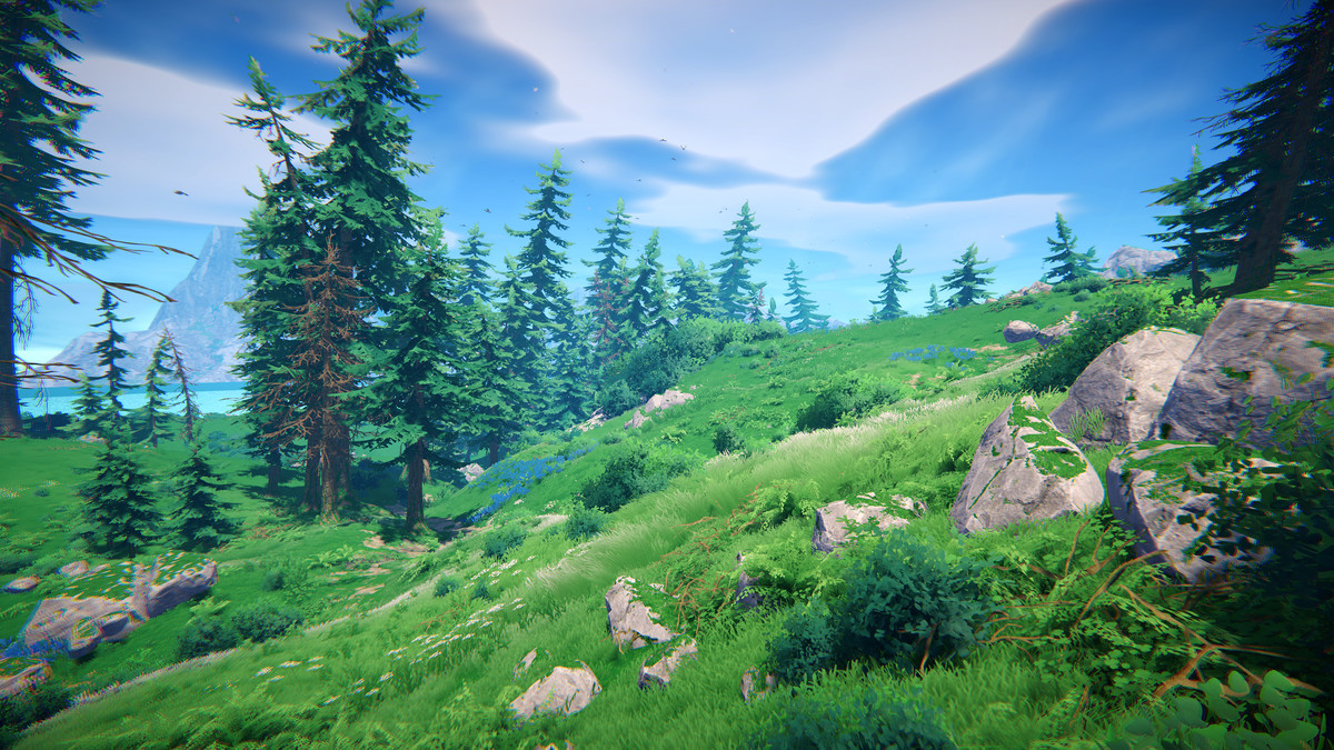 Adventure Nature Vol.7 Spruce Forest