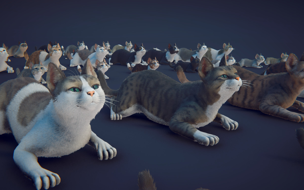 Milo the Cat