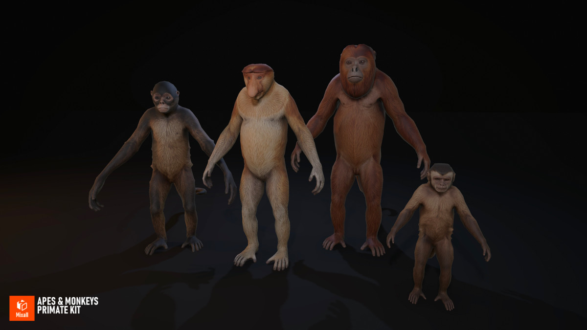 Apes & Monkeys - Primate Kit