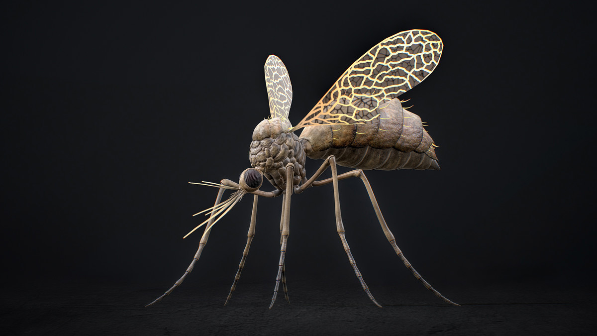 Mosquito Queen Boss - Fantasy Magic Mosquitoes