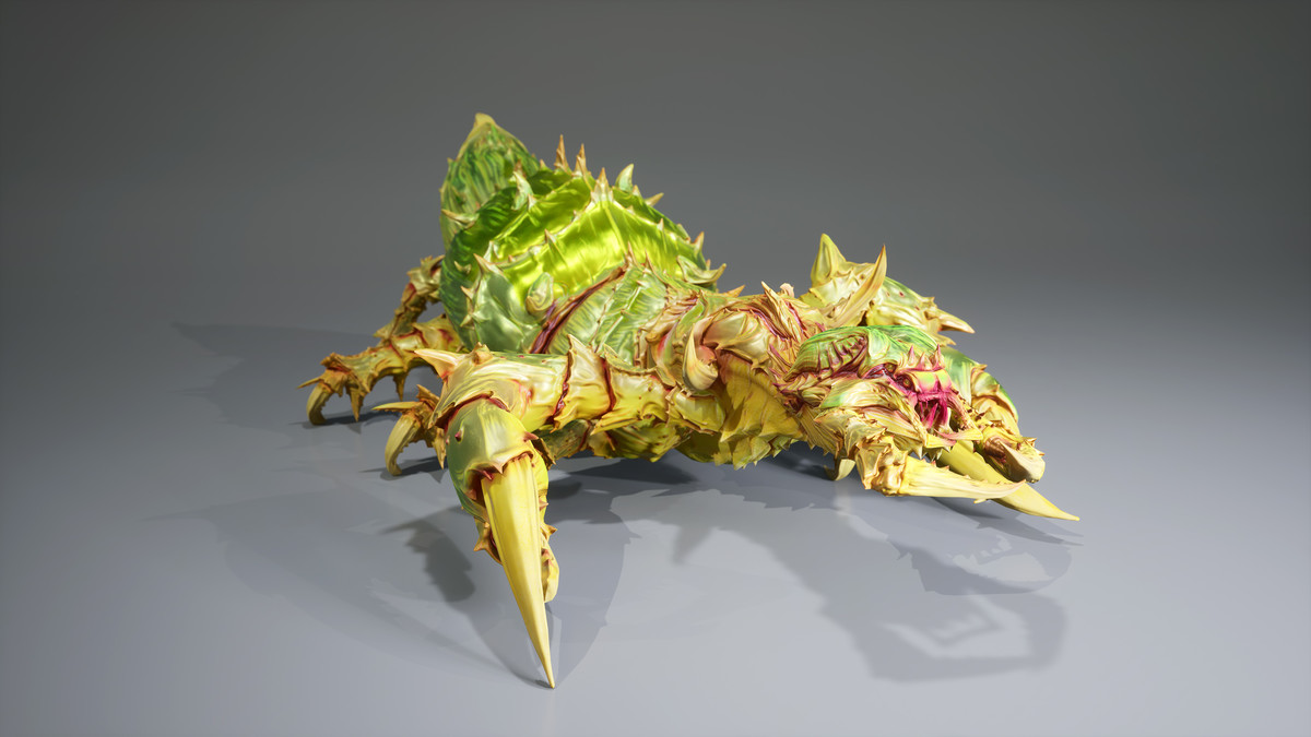 Insect