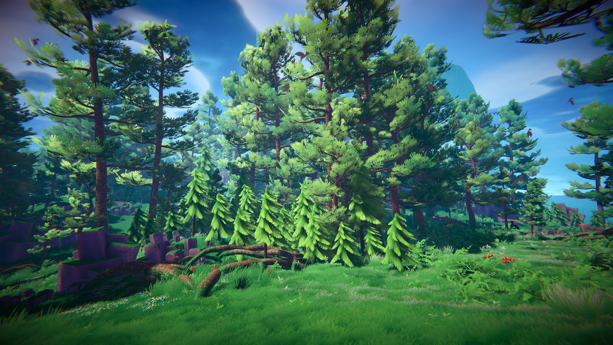 Adventure Nature Vol.6 Forest