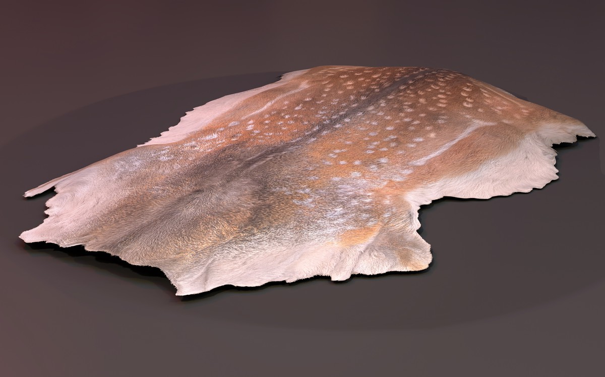 animal pelts volume two: cow, zebra, tiger, bear, deer, goat