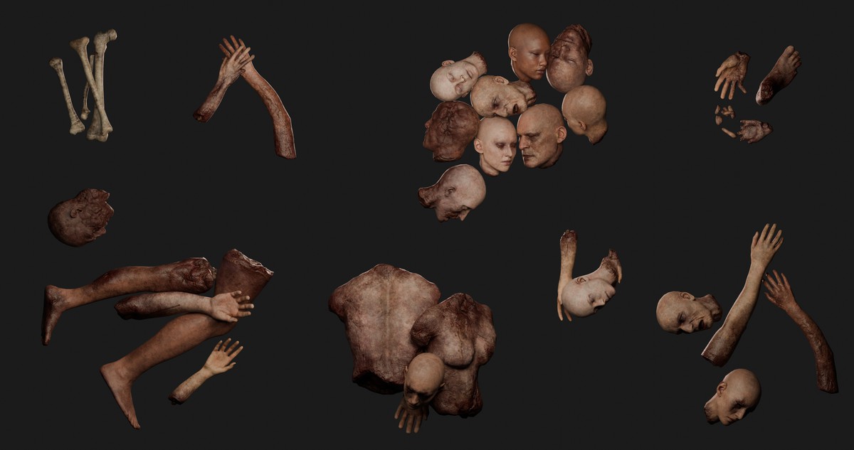 Human Body Parts