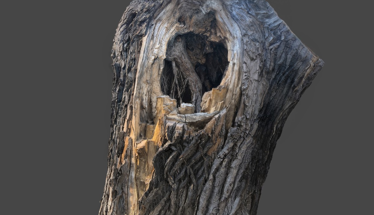 Wooden props volume two