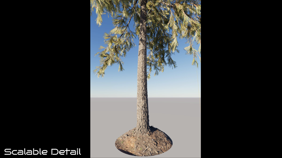 TimberGEN