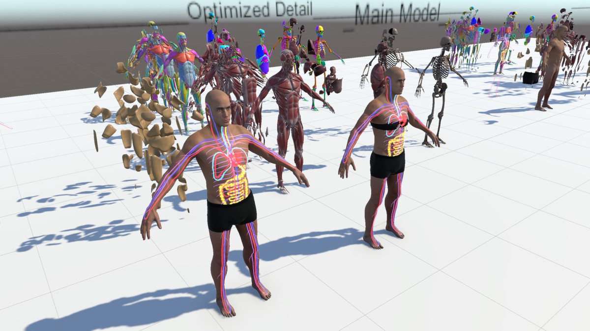 Anatomy Ultimate Pack