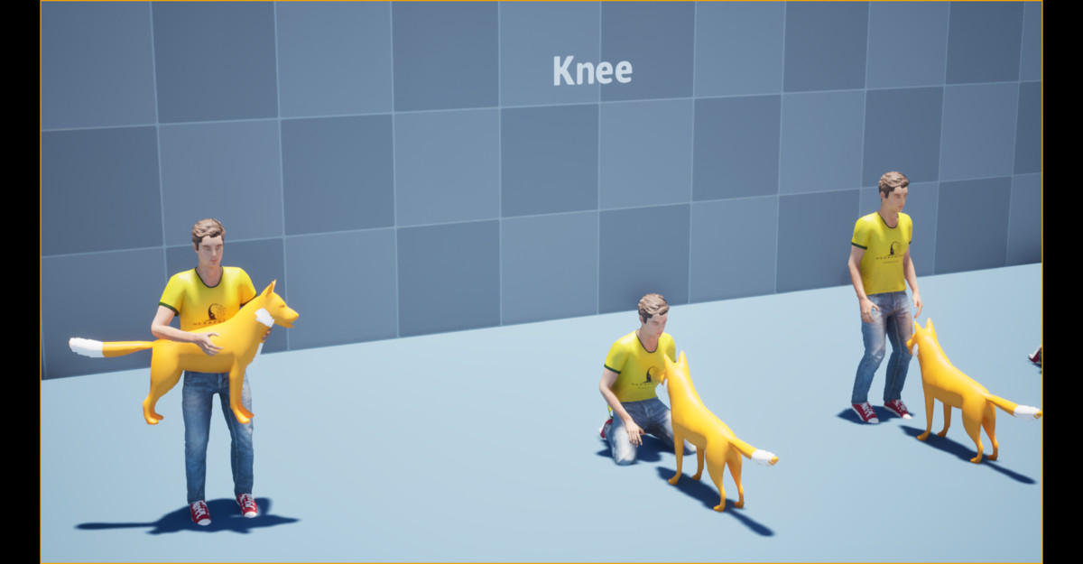 Dog Command Animation