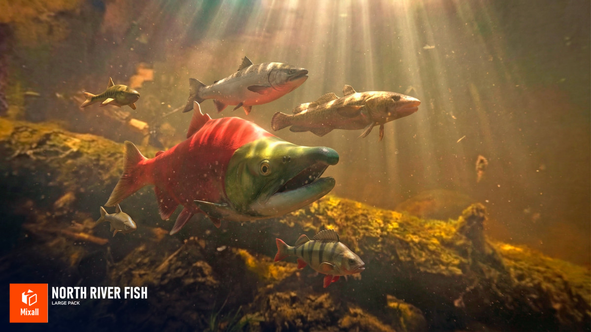 North river fish - large pack