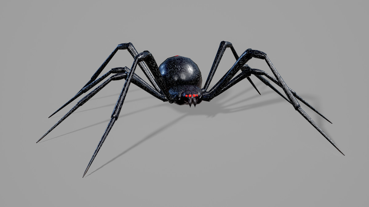 Stylized Spider Creatures Pack