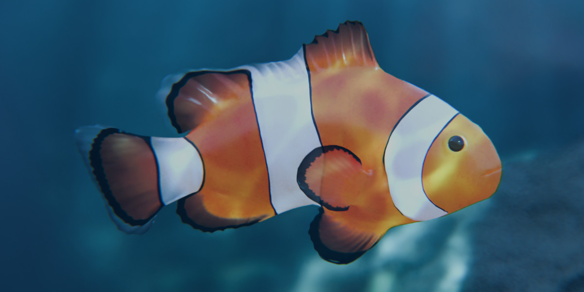 Animated Clownfish