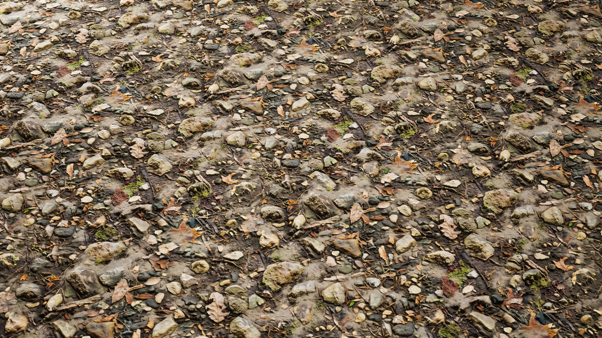 Realistic Materials - Forest Ground 2