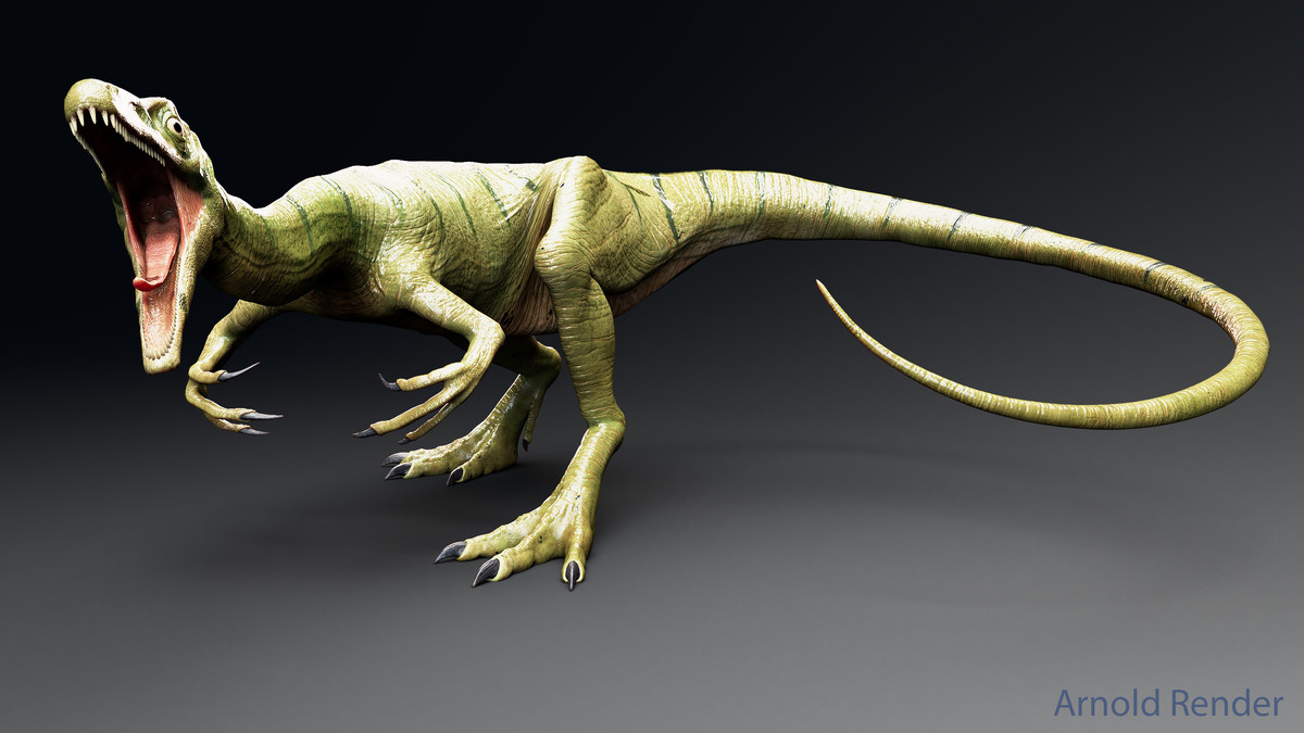 Dinosaur-Compsognathus - 110 Animations