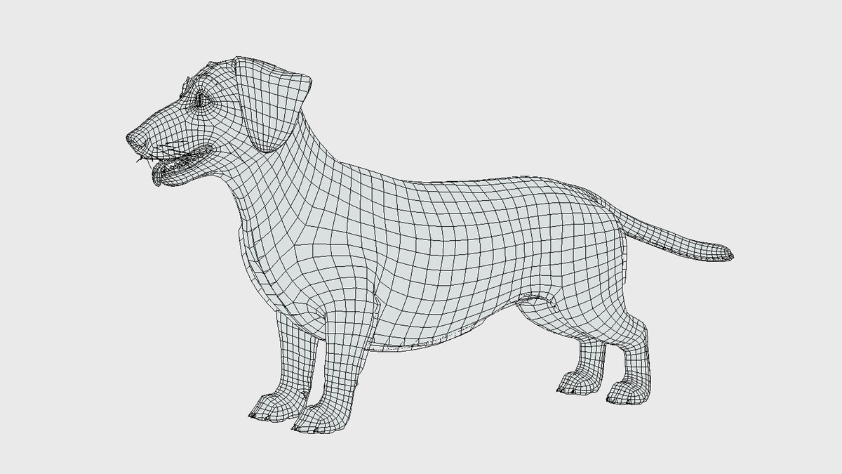 Dog -- Dachshund