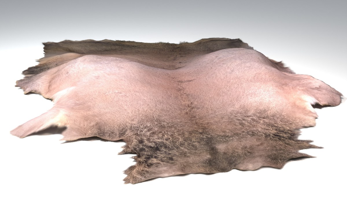 Animal pelts volume 4: giraffe, wolf, stag, reindeer, sheep, bull, bison 4k