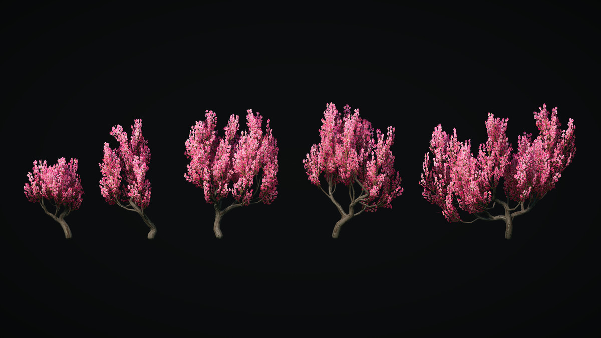 Pure Nature 2 : Asian Mountains