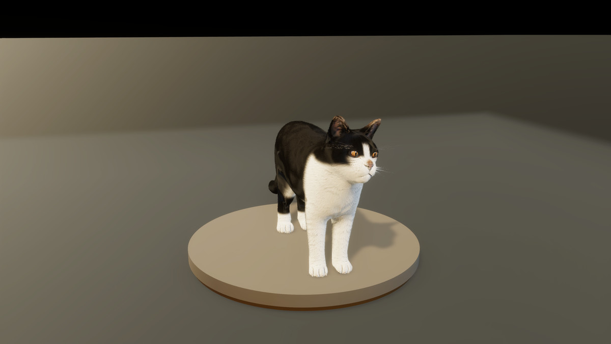 Feline Collection – Realistic Animated Cats with Customizable Fur
