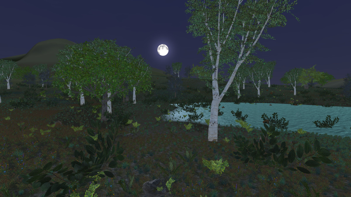 Runtime World Generation
