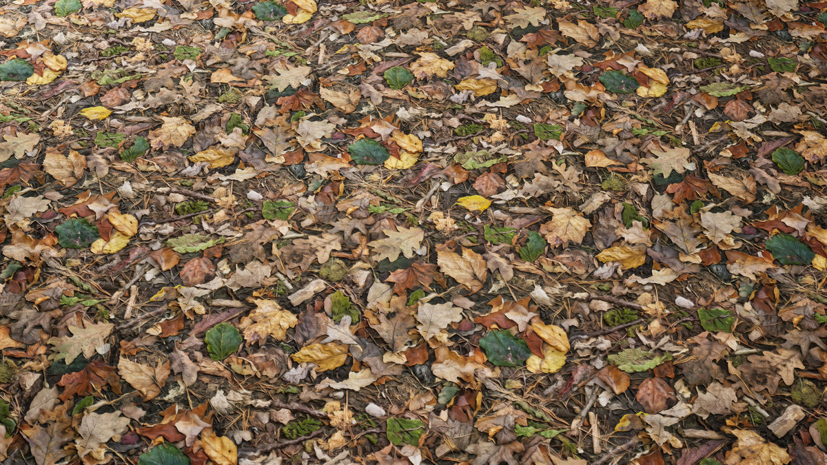 Realistic Materials - Forest Ground 1