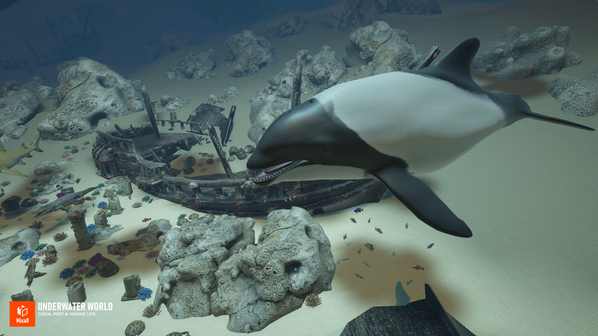 Underwater world - Coral Reef & Marine Life
