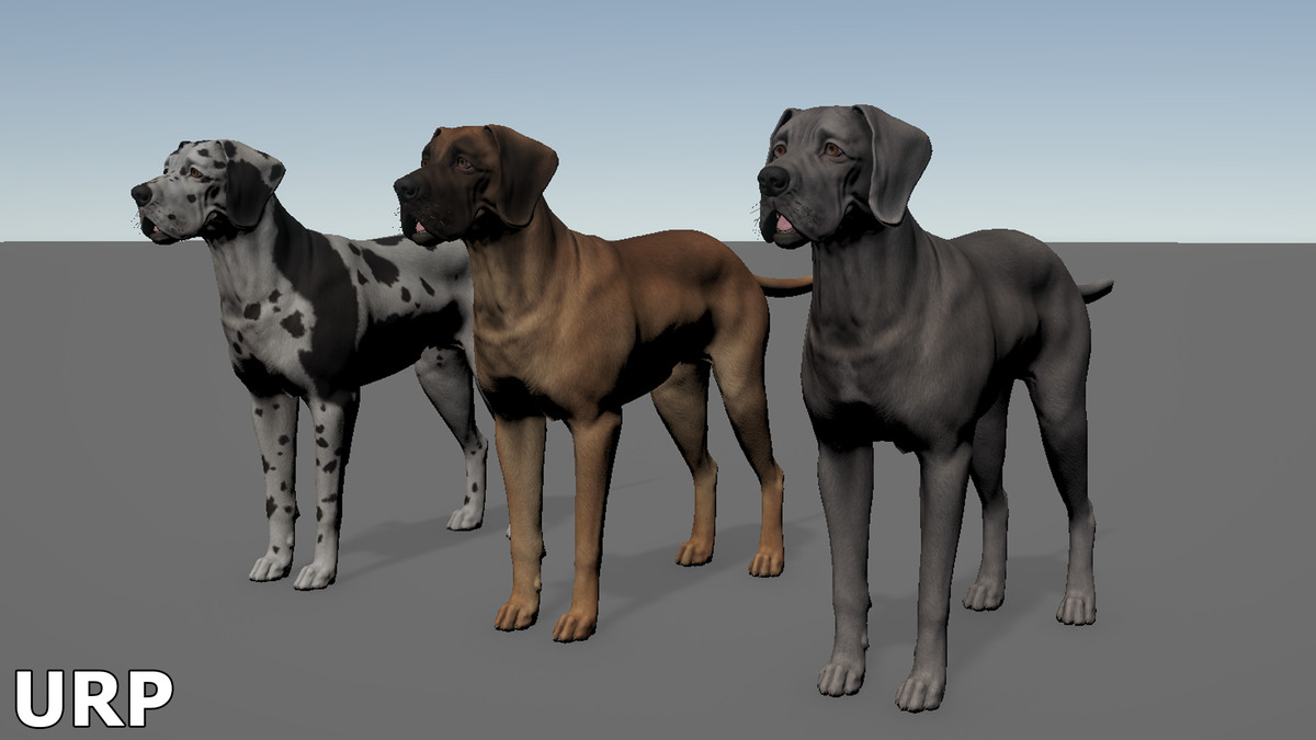 Dog - Great Dane
