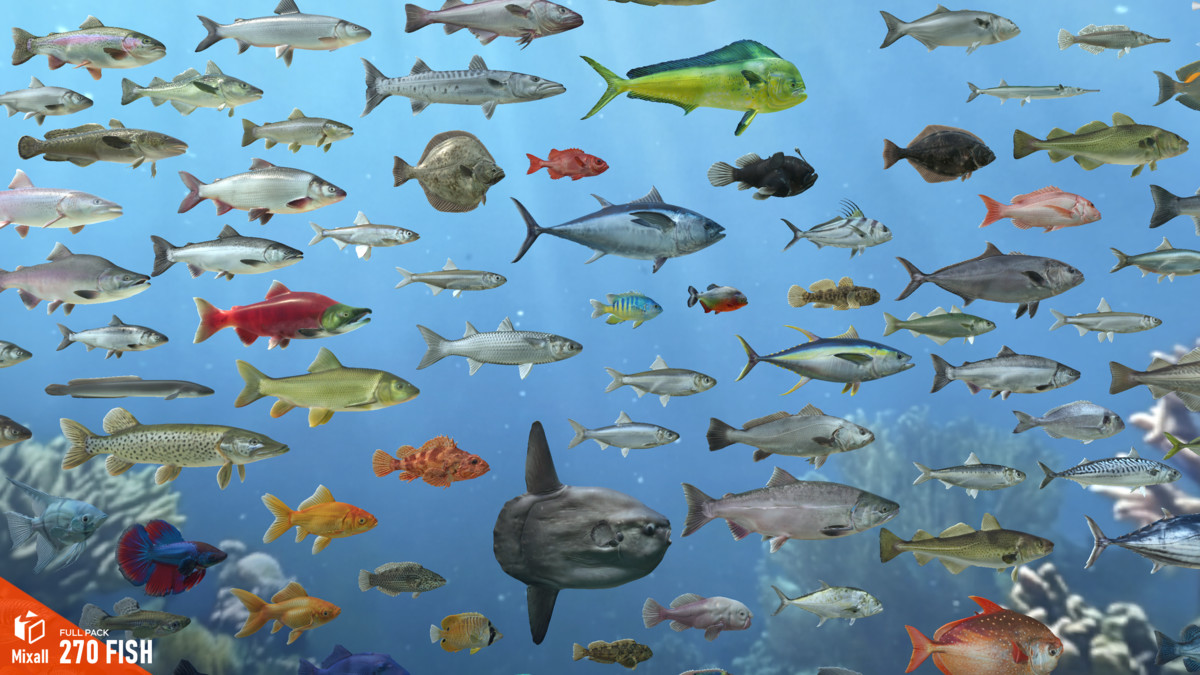 270 fish - Full pack