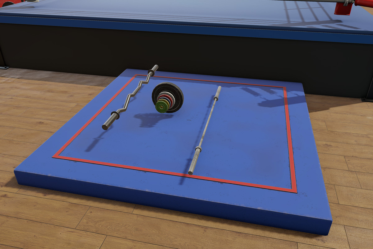 Boxing and Gym Equipment