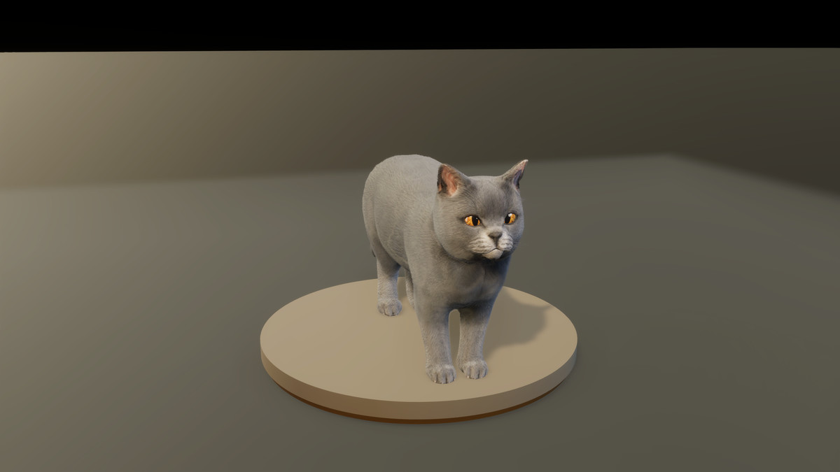 Feline Collection – Realistic Animated Cats with Customizable Fur
