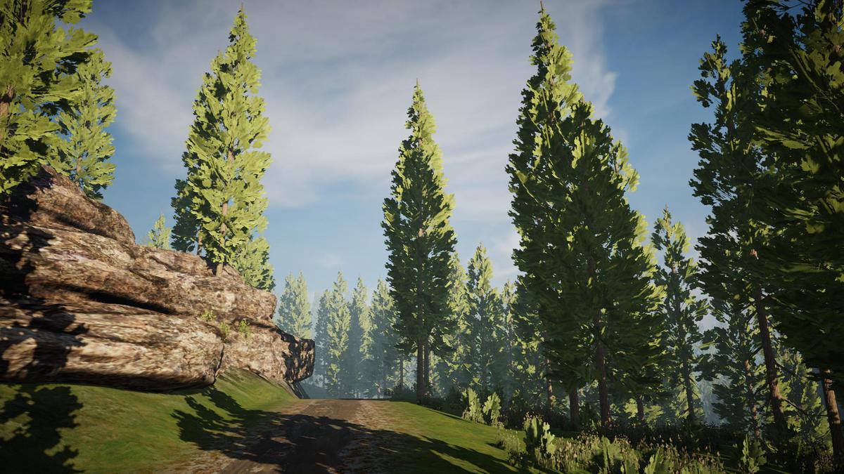 Pine Tree Bundle (Mobile)