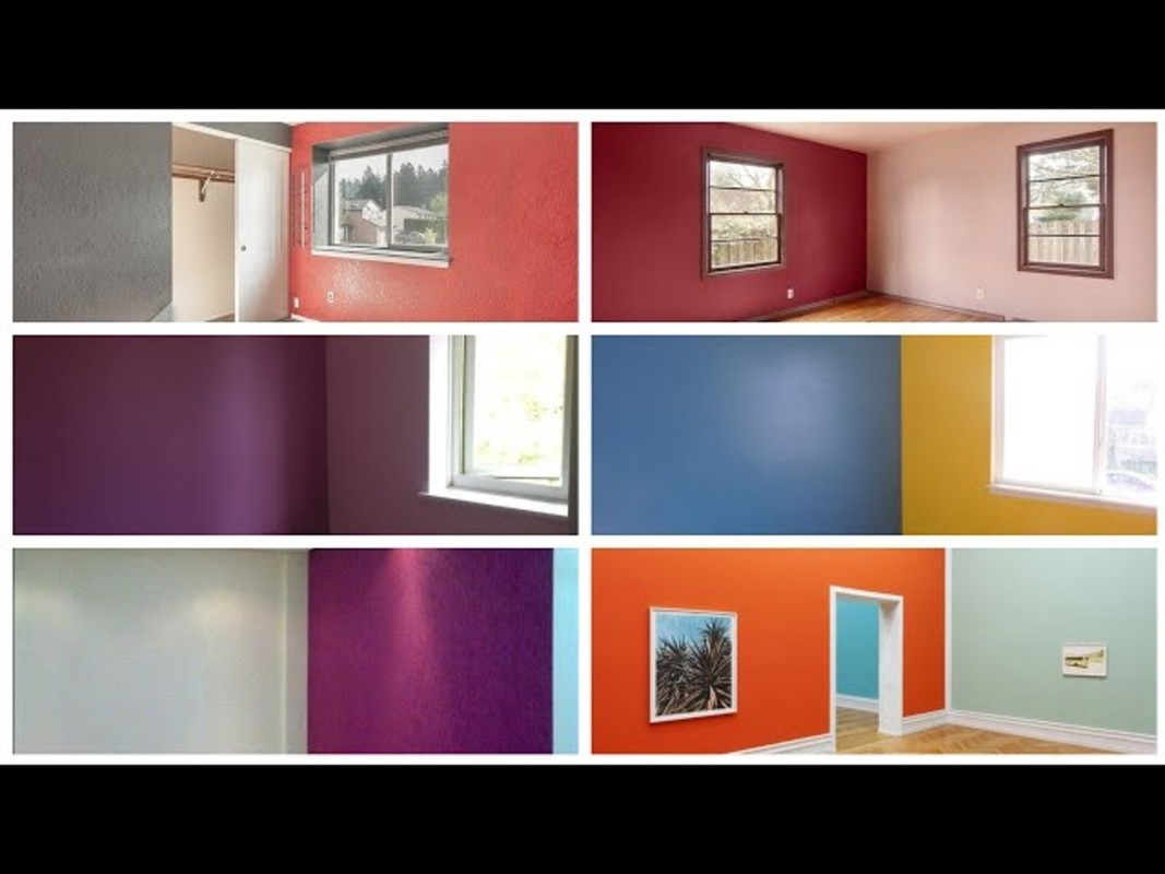 Interactive Segmentation