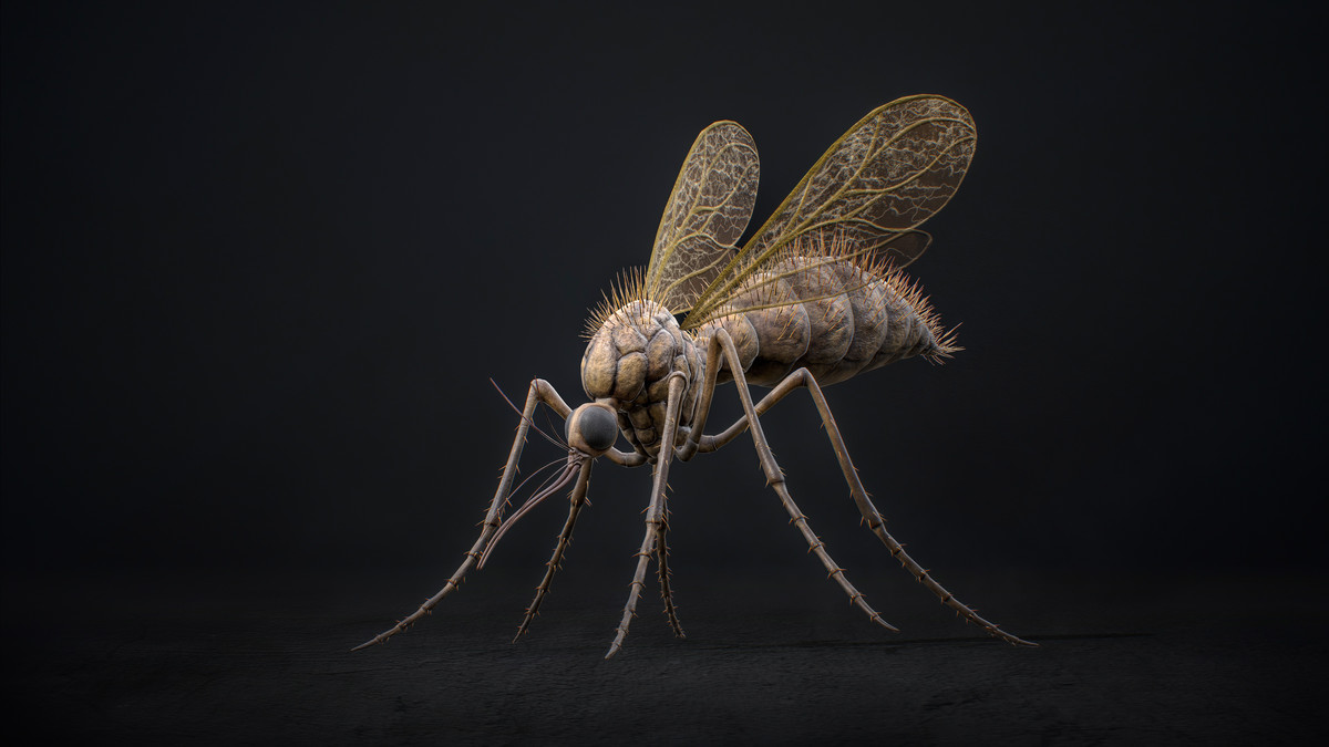 Mosquito Defender - Fantasy Cave Mosquito Creature
