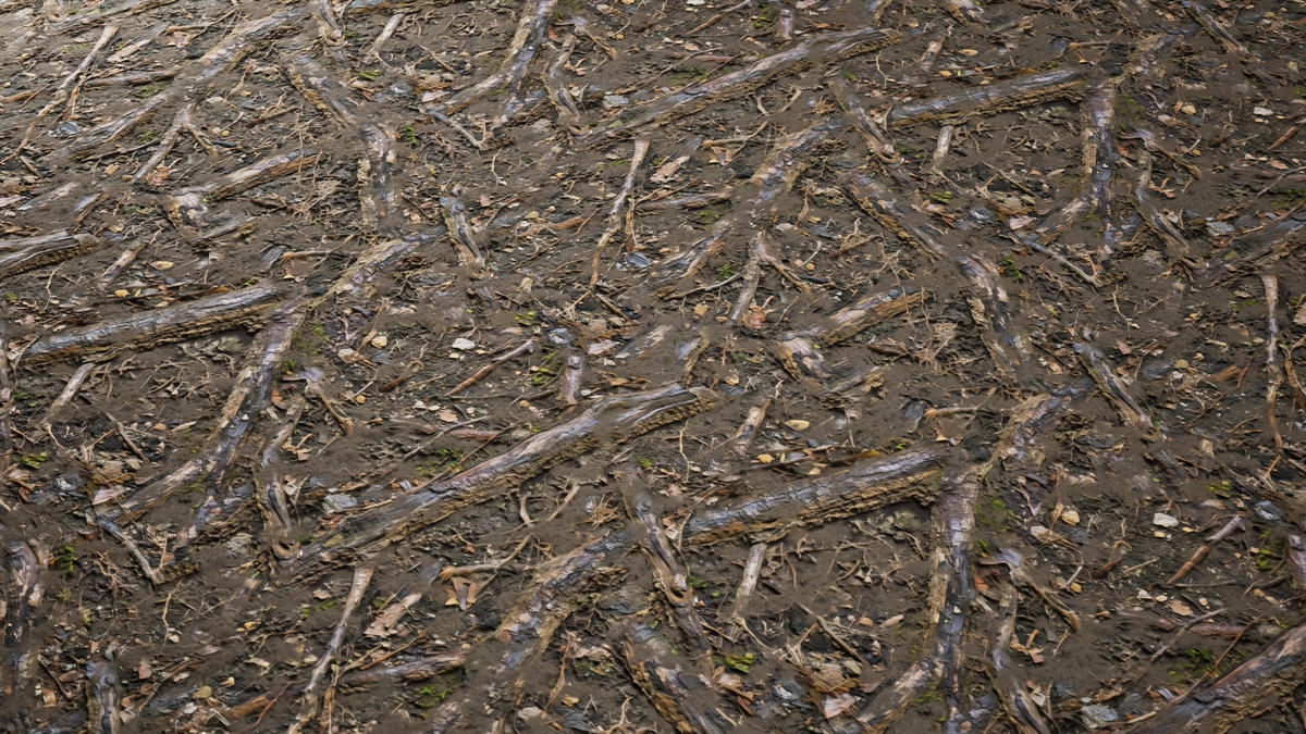 Realistic Materials - Forest Ground 2