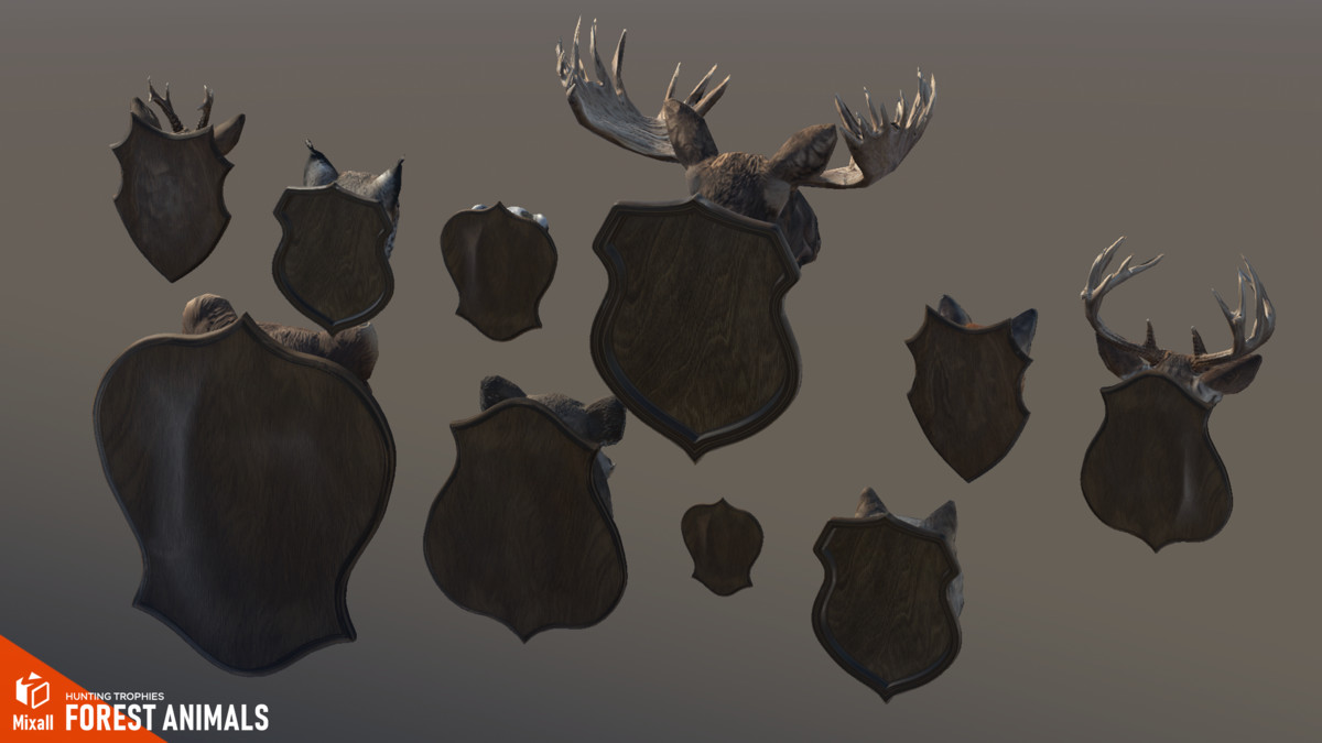 Forest animals – Hunting trophies