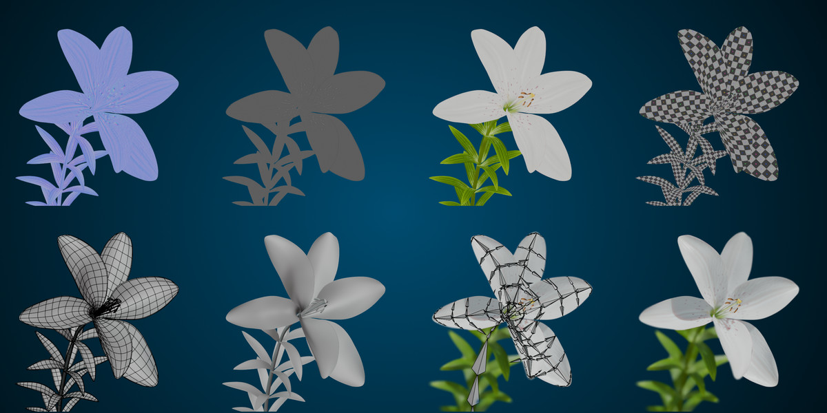 Animated blooming lily