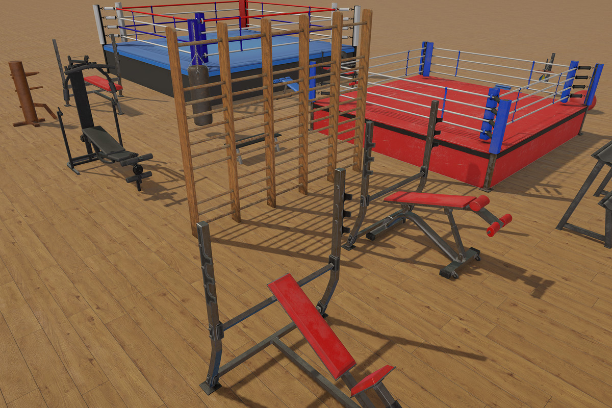 Boxing and Gym Equipment