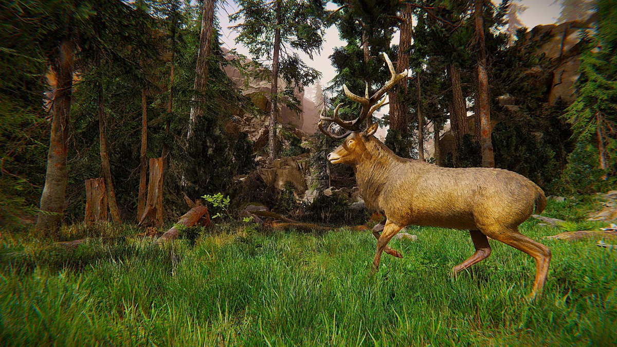 Realistic: Animal Forest Set