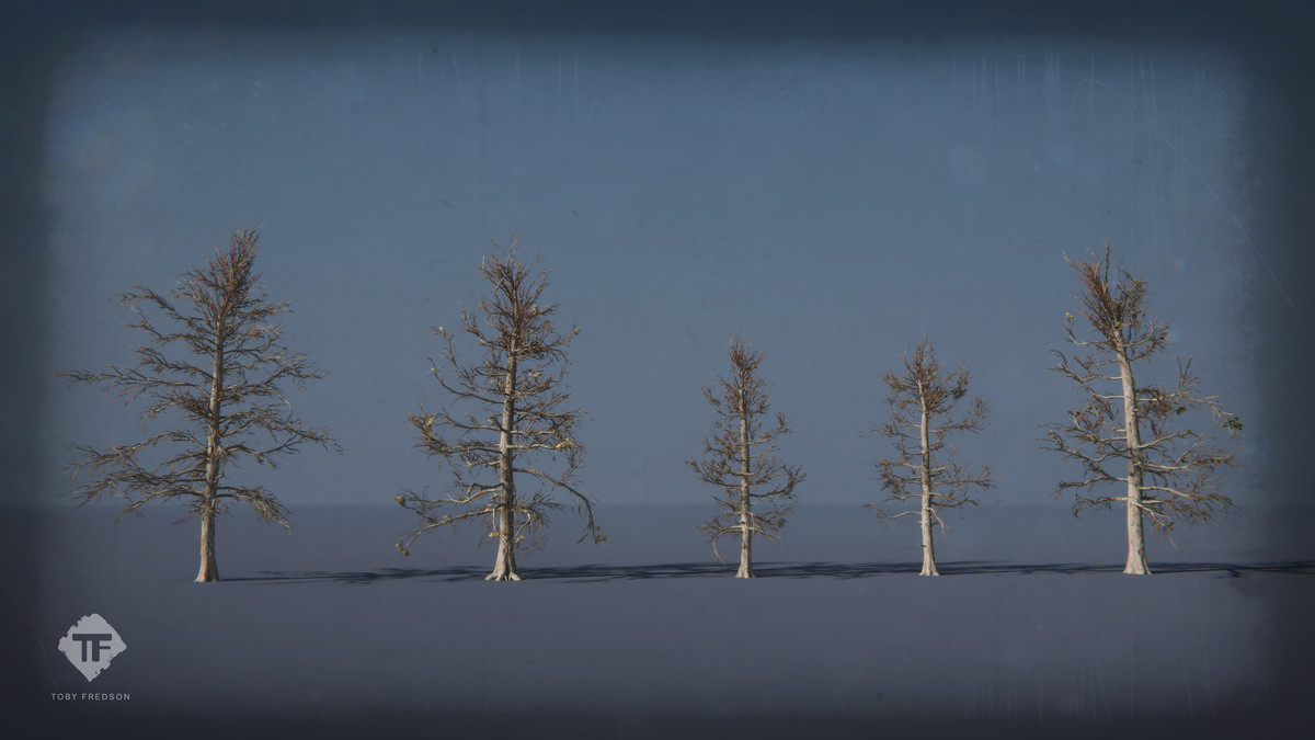 Juniper Pack - Toby Foliage Engine Assets