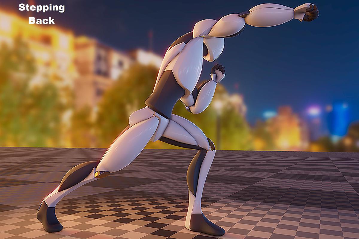 Boxing animation package