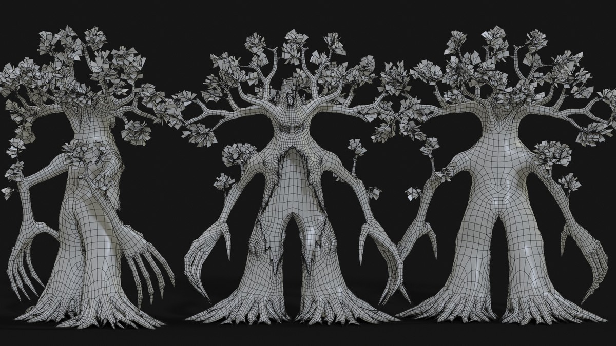 Oak Tree — Ent Collection