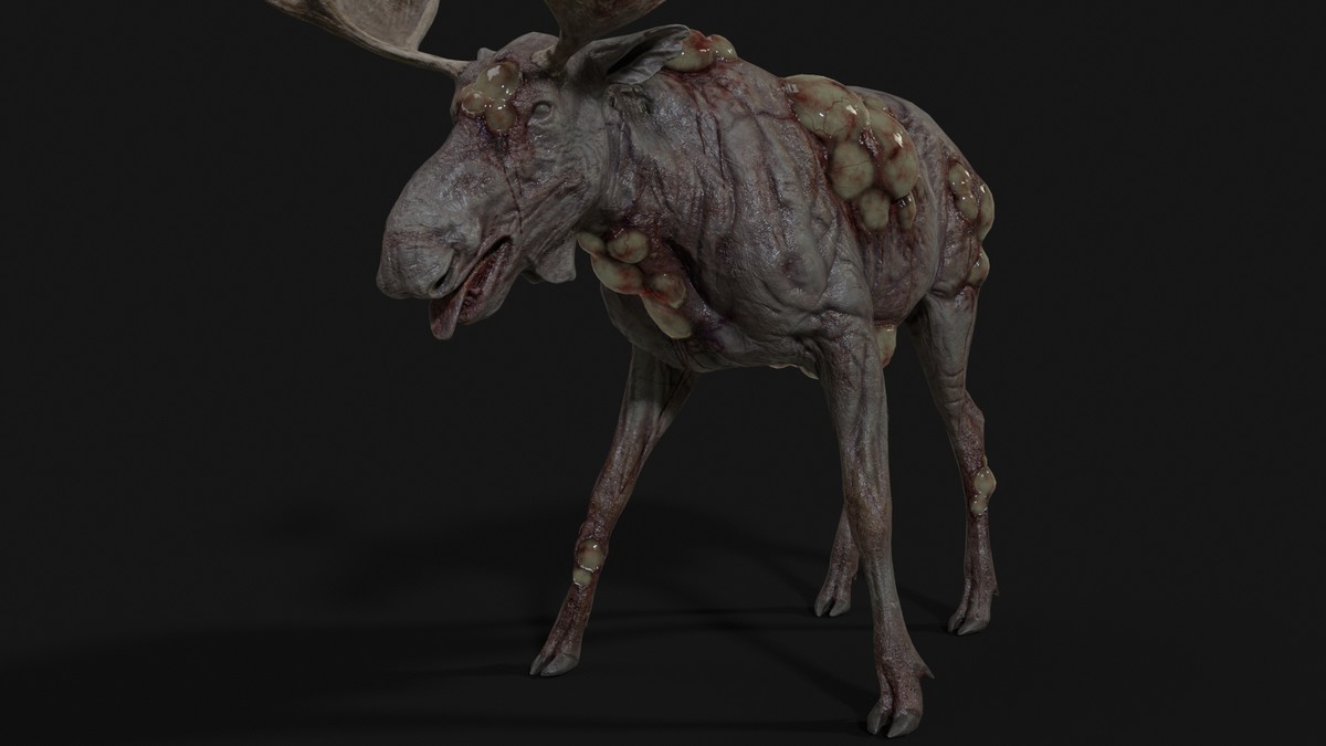 Rot Moose