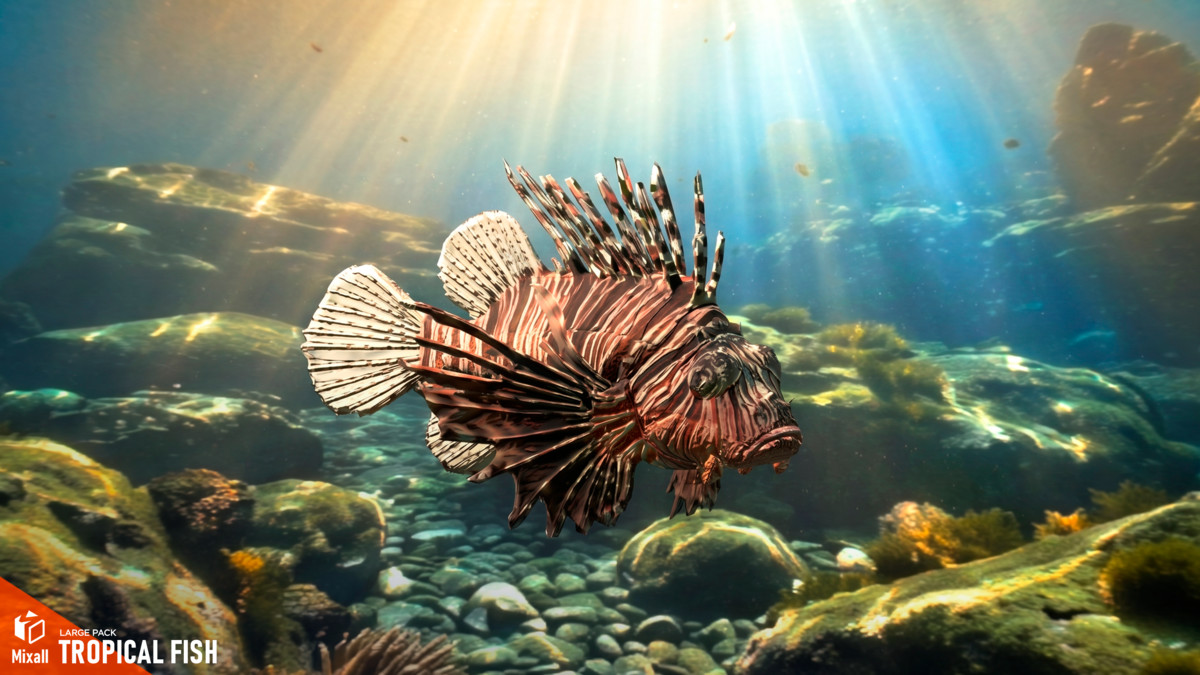 Tropical fish - large pack