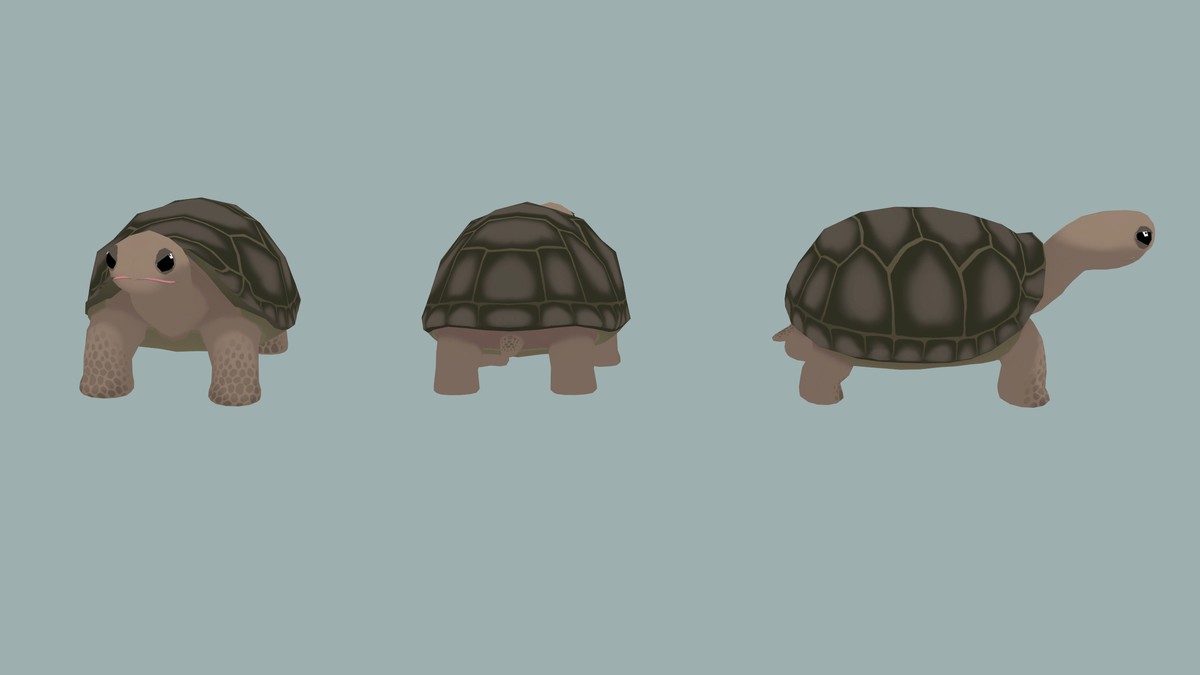 Stylized Turtle Animation Pack– FAUNA
