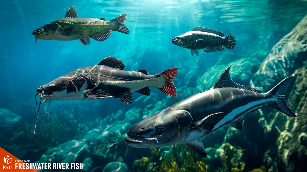 Freshwater river fish - large pack