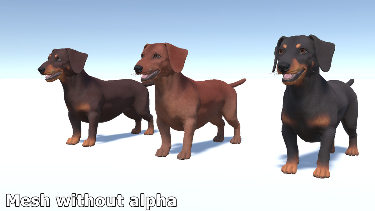 Dog -- Dachshund