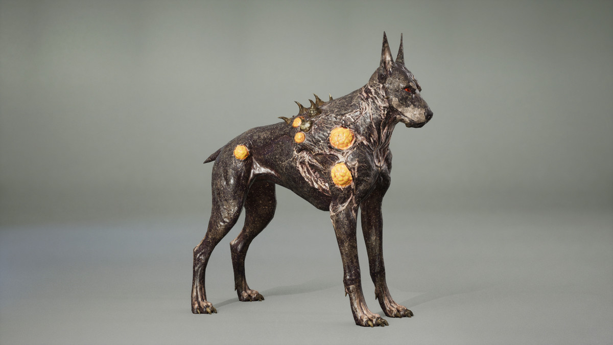 Dog mutant
