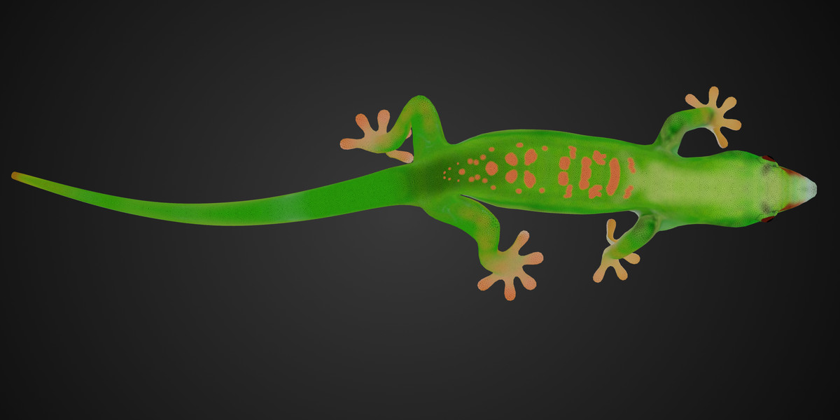 Asset Screenshot 8