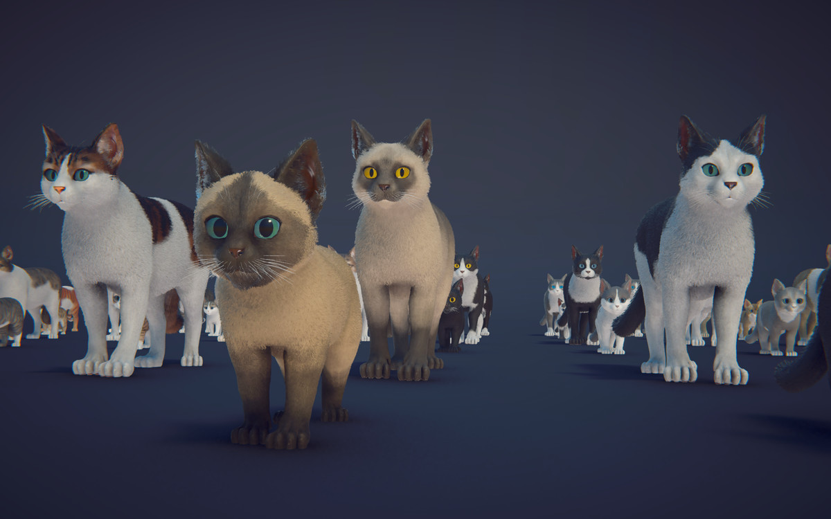 Milo the Cat