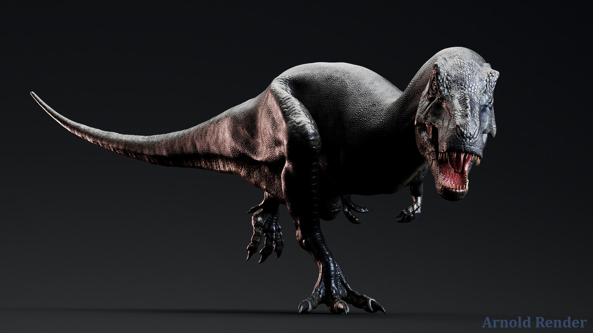 Dinosaur - Sub-Adult TRex