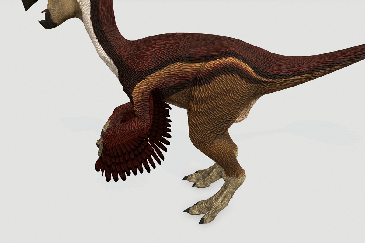 Oviraptor